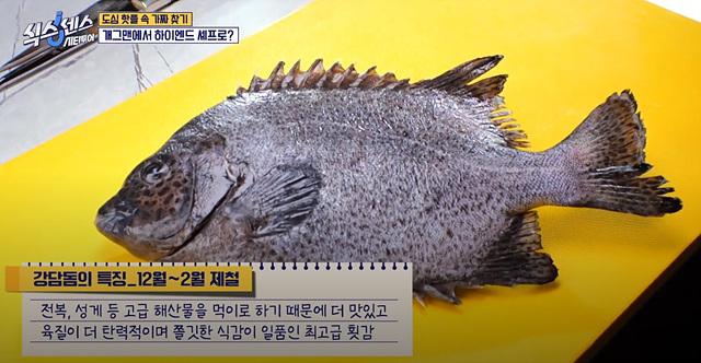 식스센스 시티투어 강남 이동자 오마카세 철권게이머 무당