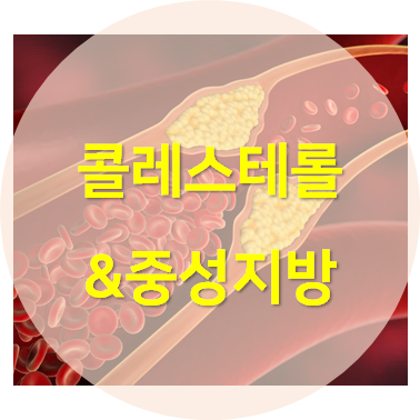콜레스테롤과 중성지방을 다룬 콘텐츠 섬네일