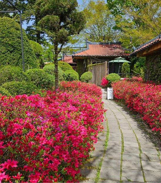 옥류헌 릴렉스 - 서울