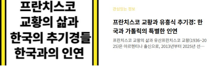 새교황 레오14세