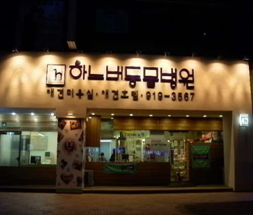 하노버동물병원