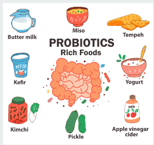 건강한 장 관리의 핵심: 프로바이오틱스 완벽 가이드