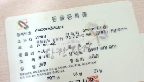 동물등록증 발급