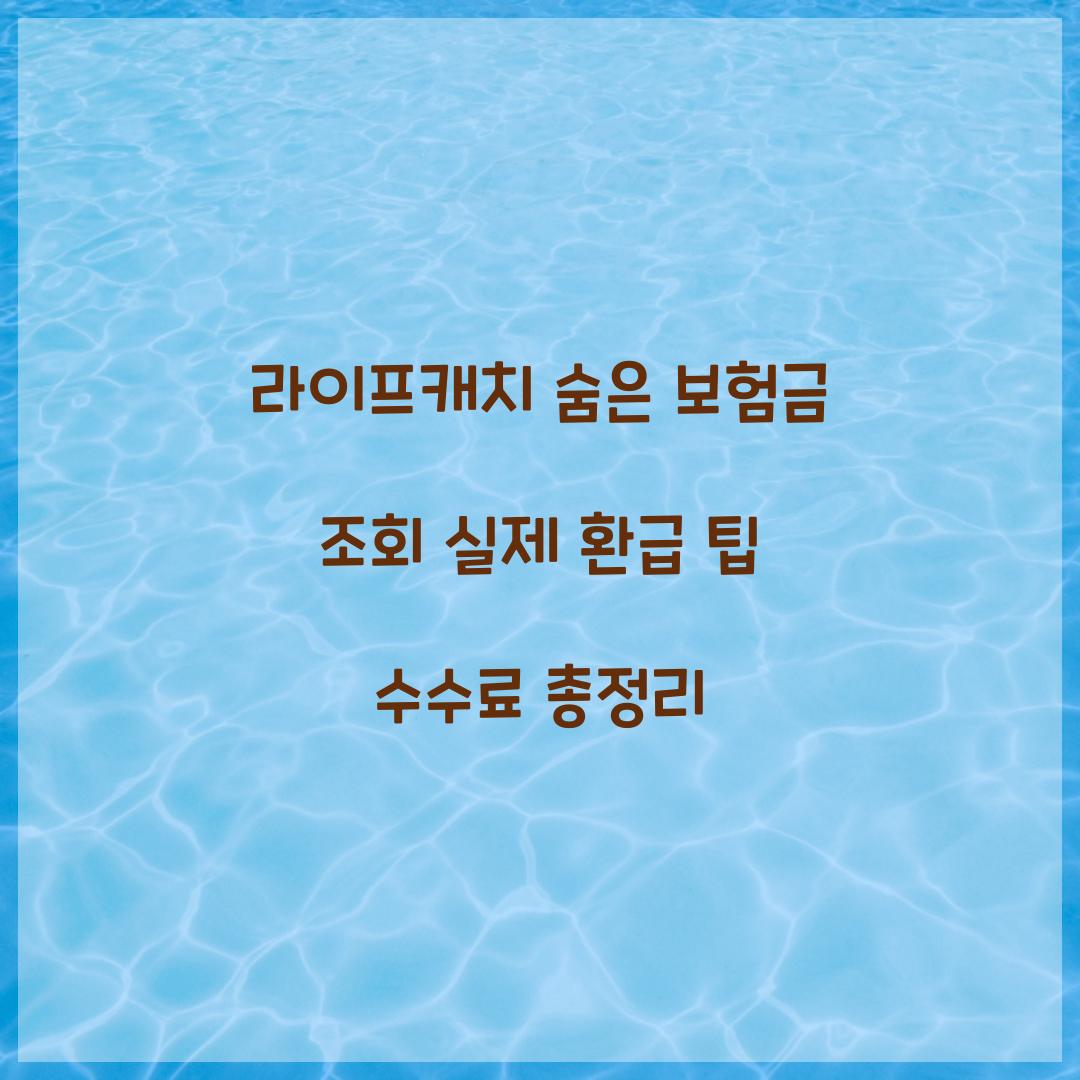 라이프캐치 숨은 보험금 조회