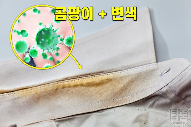땀 건강 땀 색깔 증상,베개 노란땀,팁줌