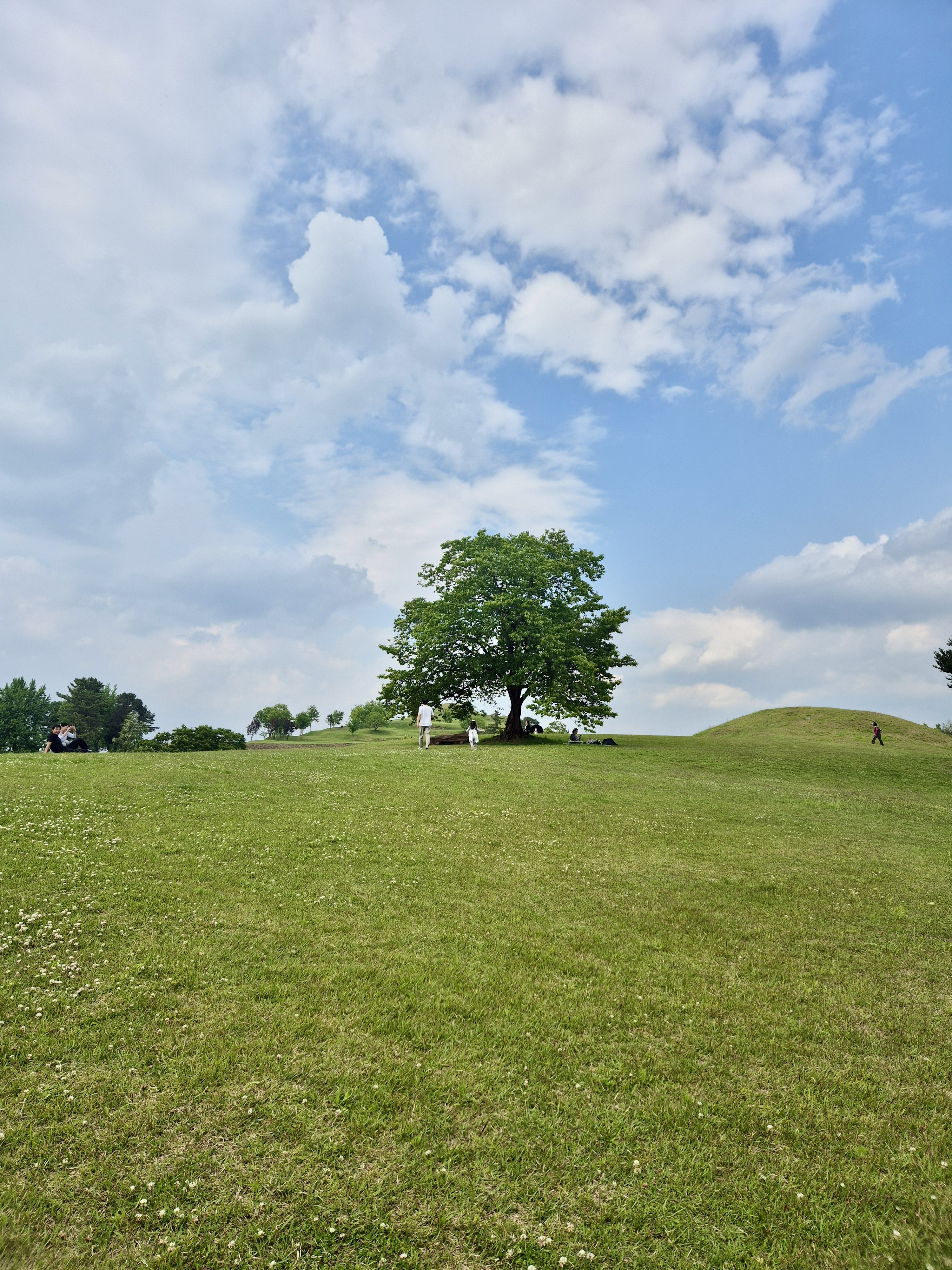 함안 고분, 말이산고분, 함안코스, 경남코스