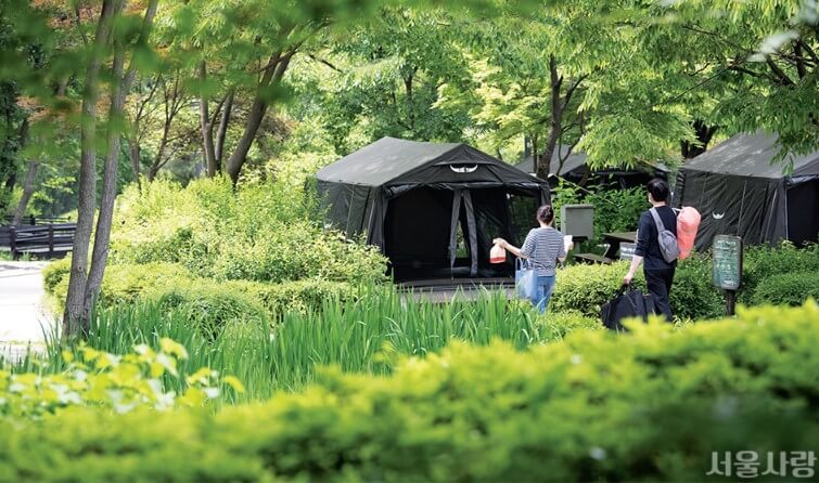 서울시 캠핑장