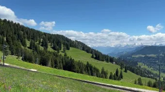 스위스 리기산 당일치기 유람선산악열차하이킹 완벽 코스 후기로 안내_9