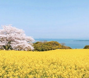 후쿠오카 효도여행