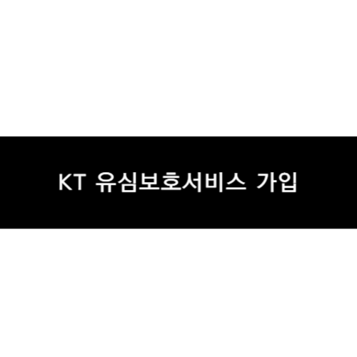 KT 유심보호서비스 사진
