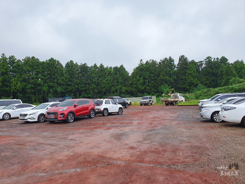 표선 보롬왓 주차장