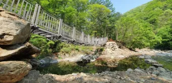 걷기 좋은 명품 숲길 50선 전국 서울 경기_3