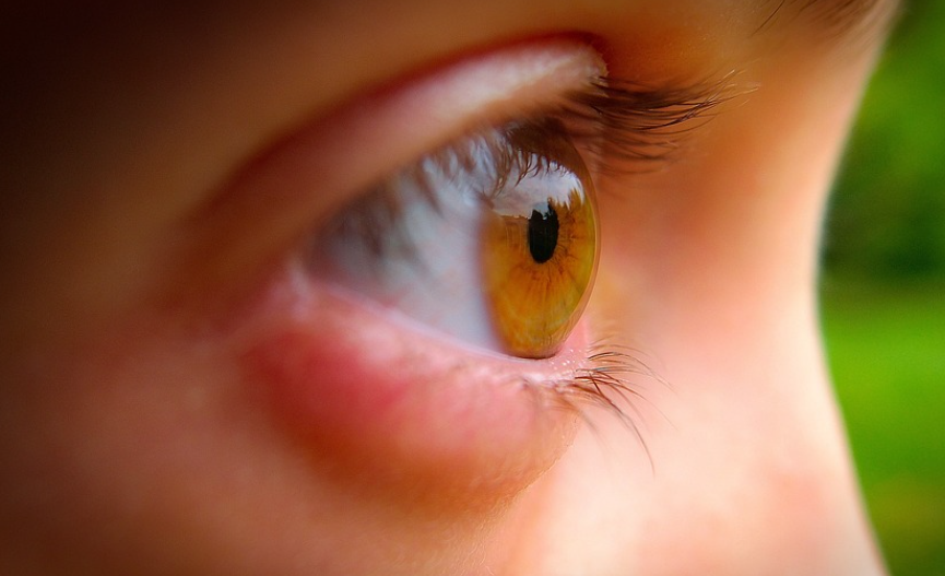 밝은 호박색 눈동자를 가진 아이의 옆모습 클로즈업