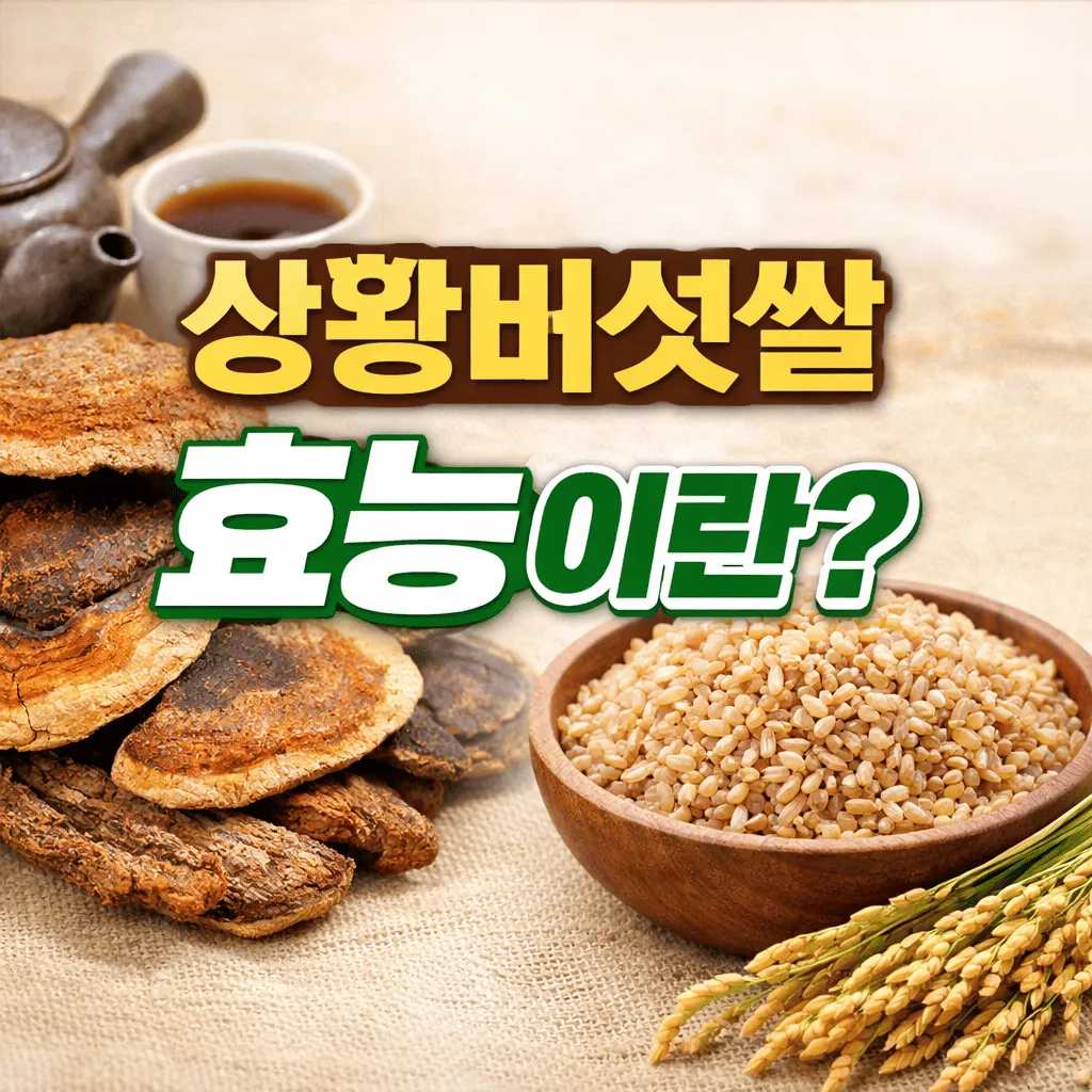 상황버섯쌀 효능