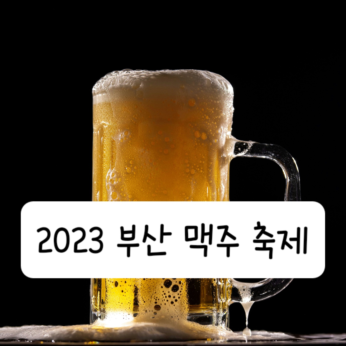 2023 부산 맥주 축제