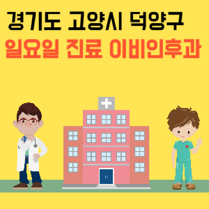 경기도 고양시 덕양구 일요일 이비인후과 진료 병원 리스트