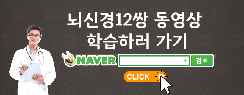 뇌신경