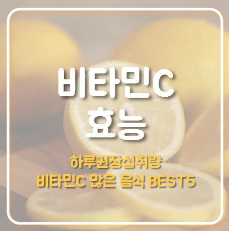 비타민C 효능과 하루 권장 섭취량, 비타민C 많은 음식 BEST 5