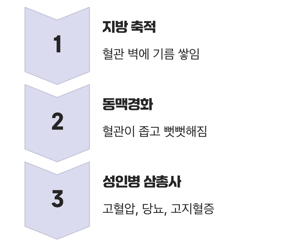 혈관 속에 기름이 둥둥, 고장 나는 신호등