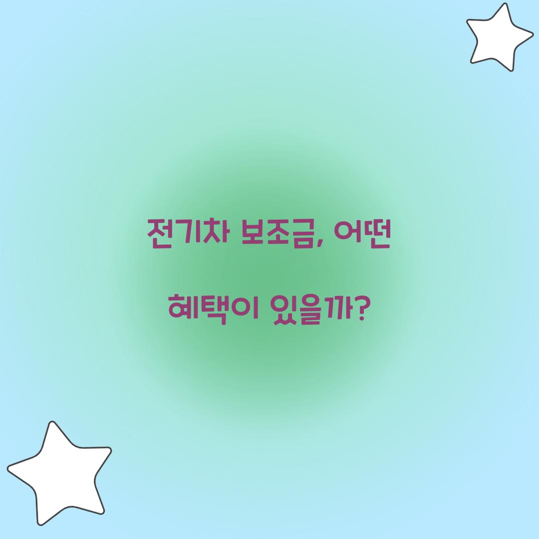 전기차 보조금