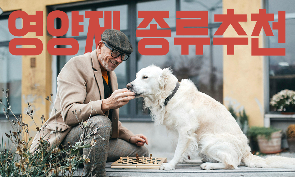 강아지-영양제