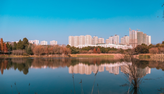 수도권과 소도시 비교 (주거비, 문화, 자연환경)