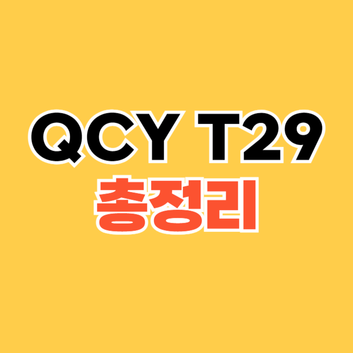 QCY-T29