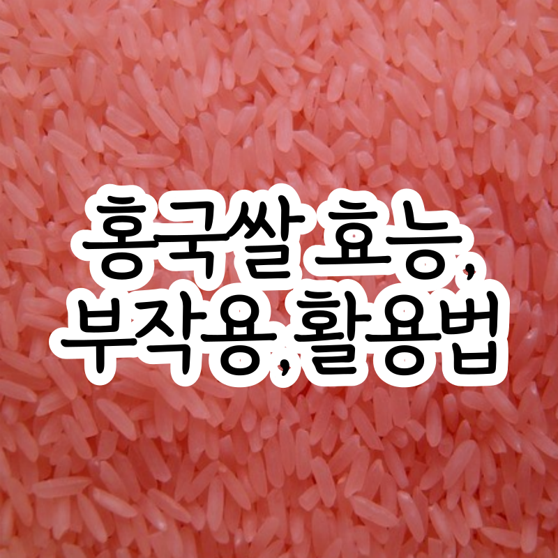 홍국쌀 효능 부작용 먹는법 홍국균