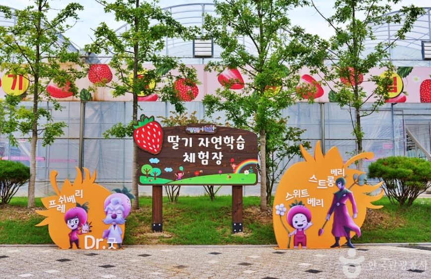 논산 가볼만한곳 베스트 10