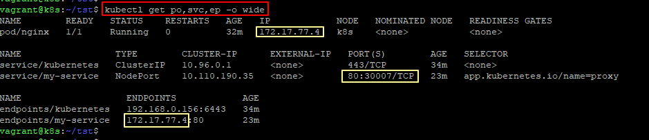 NodePort Type의 Service 및 EndPoint 조회