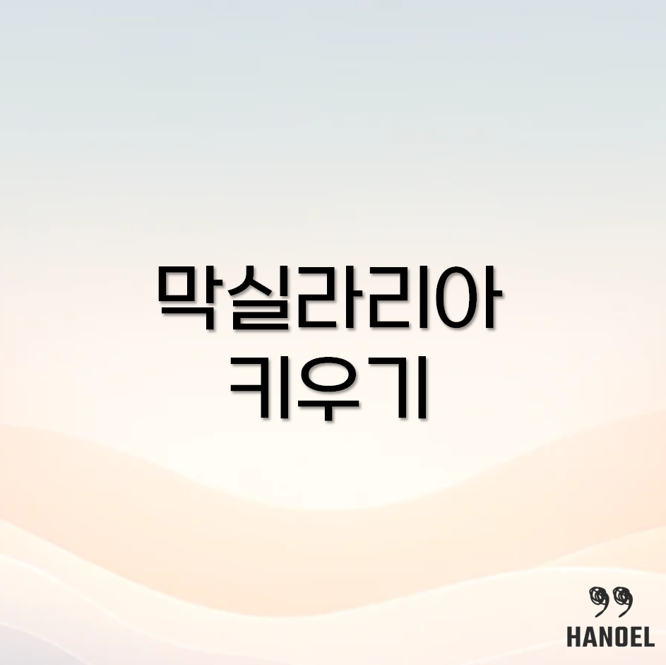 막실라리아 키우기