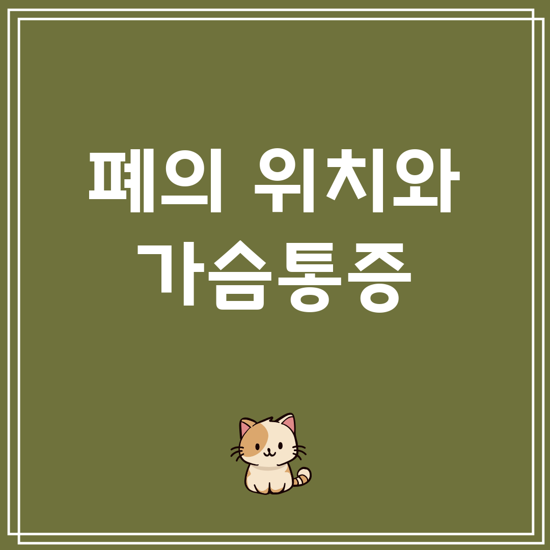 폐의 위치와 가슴통증