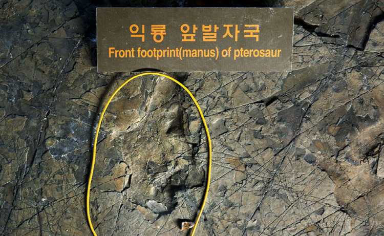 해남 공룡박물관