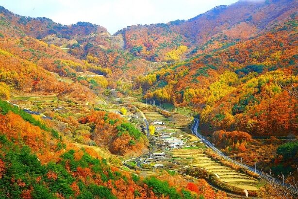 설악산부터 내장산까지! 가을 단풍 여행지 BEST 10