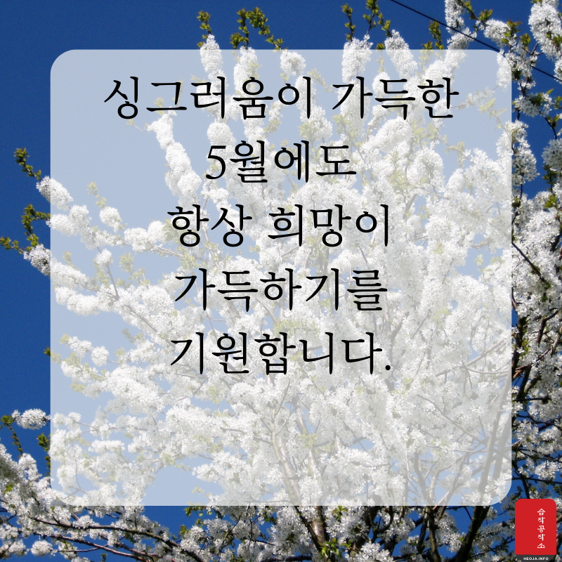 2025년 5월 인사말 문구 이미지 모음집