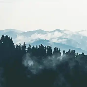 산불 재난폐기물