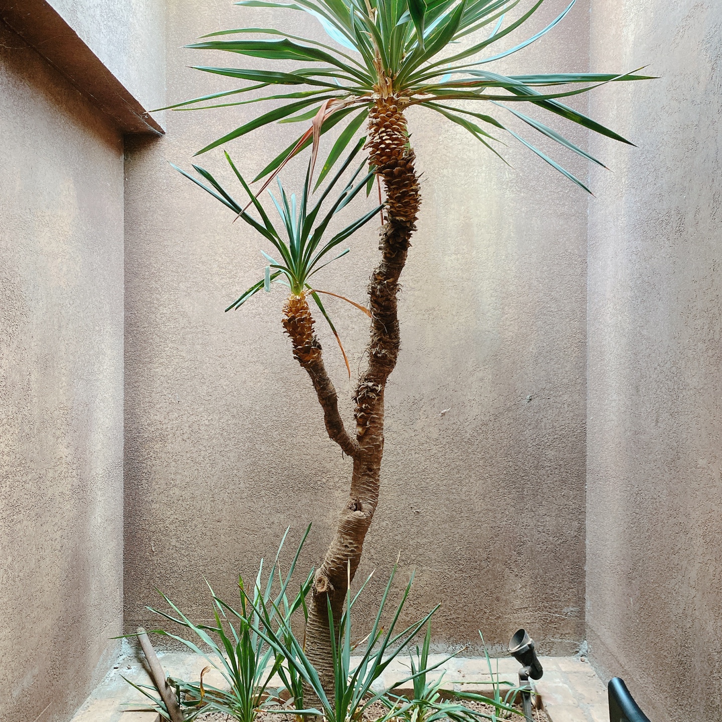 제주 서귀포 대정 서림연대 인스밀 곡물창고 개조카페 in's mill 보리개역 보리 청보리 제주 특산물