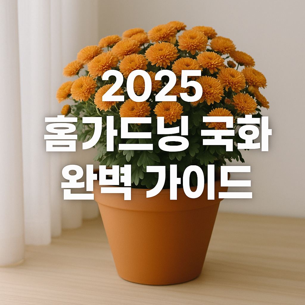 2025 홈가드닝 국화 완벽 가이드 &ndash; 가을을 집 안에서 즐기는 방법