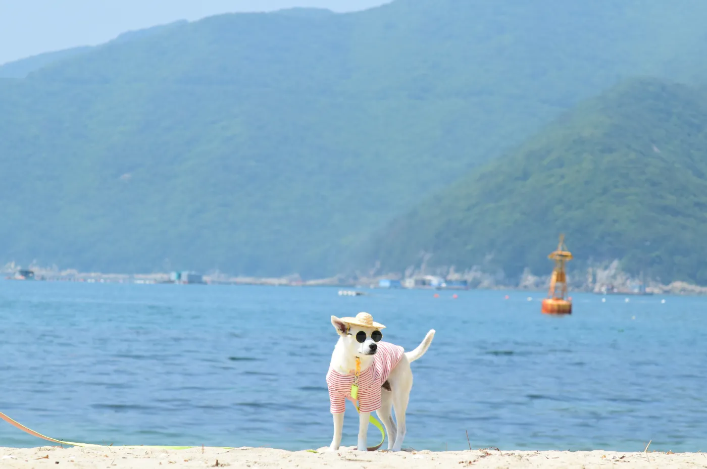 댕수욕장 바다 입장