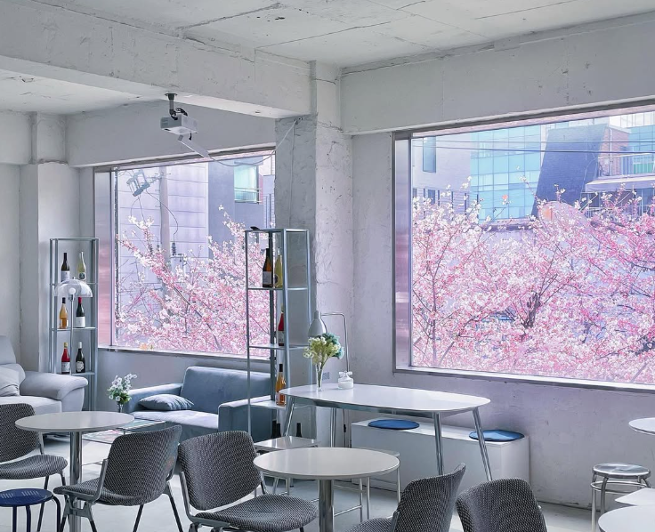 합정-망원-숨은-감성-벚꽃-카페-7-인스타-위치-예약-주차