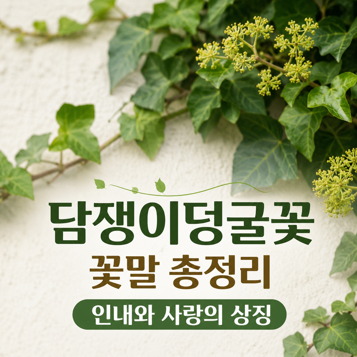 담쟁이덩굴꽃 꽃말