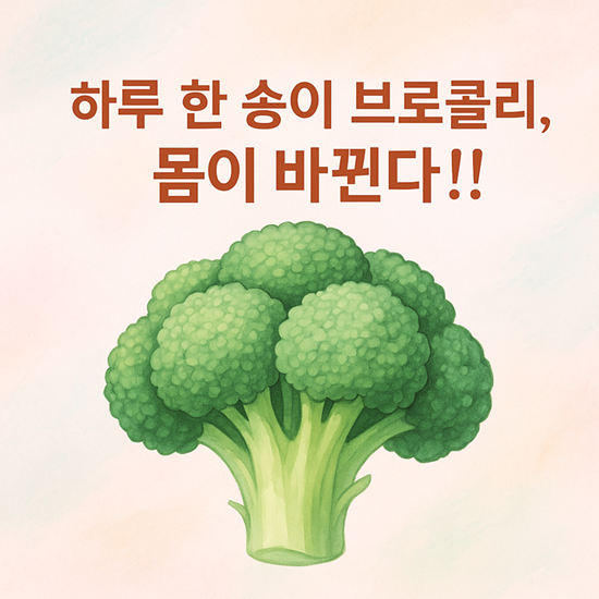브로콜리 효능