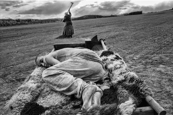 더 페인티드 버드 (The Painted Bird)