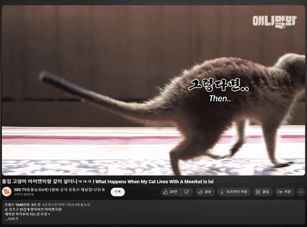 댓글 미디어 영상 첨부 방법_1