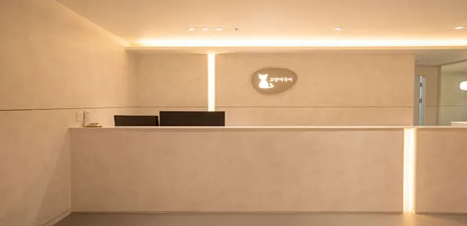 고양이국어학원