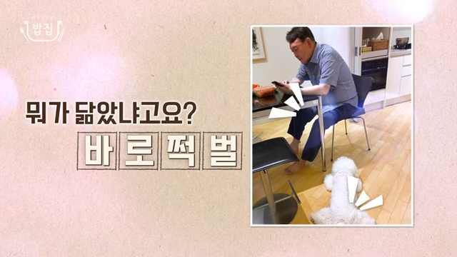 마리-비숑-윤석열