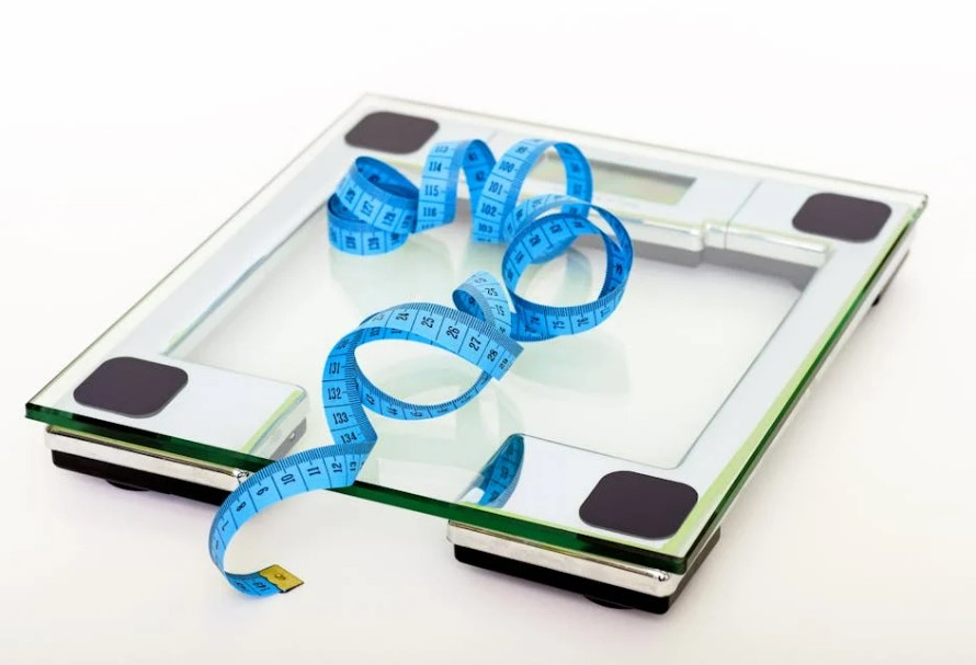 2025 다이어트 보조제 추천 TOP3&amp;#44; 진짜 효과 본 후기 정리