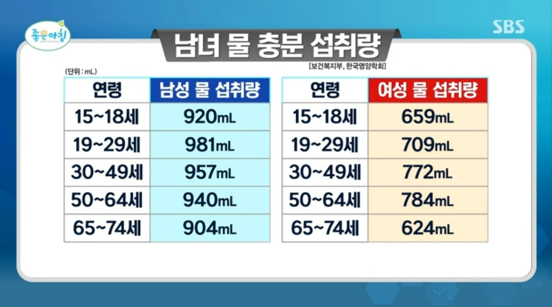 물 하루 섭취량 2L