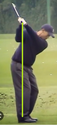 타이거 우즈 백스윙 탑모양