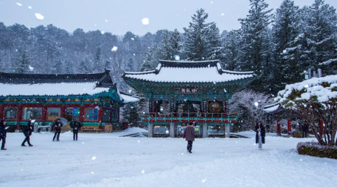 1월 강원도 가볼만한곳 ❘ 국내 겨울 갈만한곳 새해 여행지 추천 ❘ 데이트 여행 가족 실내 나들이 당일치기